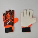 Puma Goalkeeper Gloves