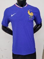 2024 France home
