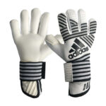 Adidas Goalkeeper Gloves