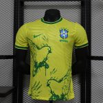 Brazil National Team